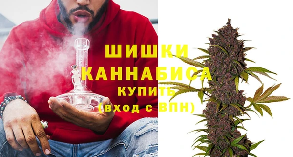 трава Вязьма